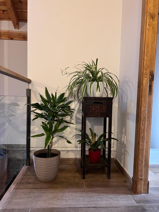 Casa Gela. Entorno Rural Villa Berrocal  Eksteriør billede